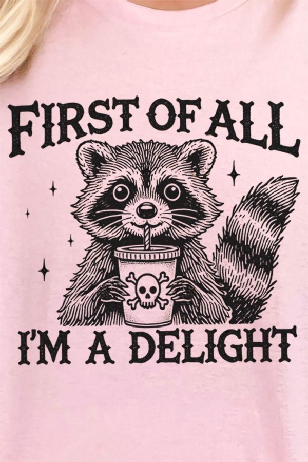 I m A Delight Raccoon Short Sleeve Relaxed Fit T-Shirt For Cheap - Image 2