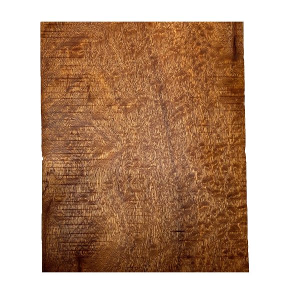 Quilted Curly Sapele Guitar Drop Tops - 21-1 2  x 9  x 1 4  #12 Fashion - Image 5