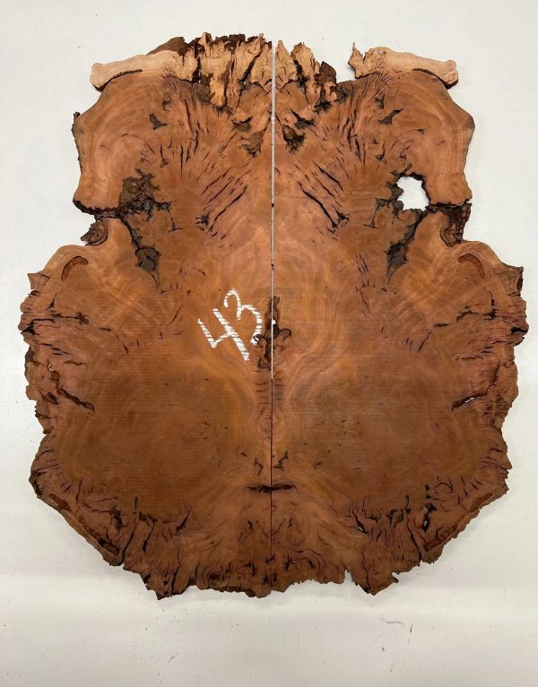 Australian Red Gum Burl Book Matched Guitar Drop Tops | 21  x 14  x 3 8  #43 on Sale - Image 3